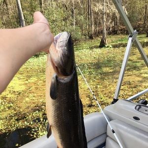 Meet your Posher, Dylan